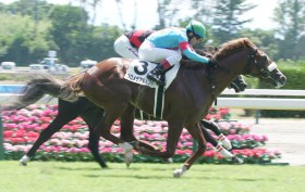 �y�V�n/�V��4R�zG1�E9���A�[�����h�A�C�̎e �v�����T�A�������h���f�r���[V