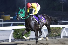 �y���m�E�����e�ԏ܁z���c�̃��s�h�t�B�I�[��������6�n�g��V�I�n���𗬏��J�Â𐧂�