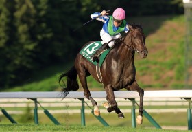 �y�����E�I�p�[��C�z�n粁u�ł��������킩��܂���ł����v�v�`�v���[�W���ŏ�����ŉ���