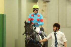 �y�V�n/����4R�z���L�A�X�g�����K�V�[���f�r���[V