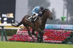 �y���nS�z�I�N�^���B�A�k�X���I�[�v������