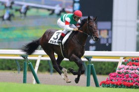 �y�V�n/�V��2R�z�_�m���t�@���^�W�[���� �I���l�[�����f�r���[V