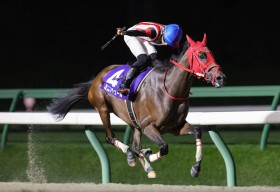 �y�����E�t�F�A���[C�z�~�j�A�`���[�������@���X�؎u���u�����̃��Y���ŉ^�ׂ��v�����̓r���[�`�t���h���[�}�[C��