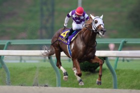 �y�N���X�^�[C�z��ŋR��̍���������d���c�T�����C�Y�A���[���𗬏d�܏�V�֓���