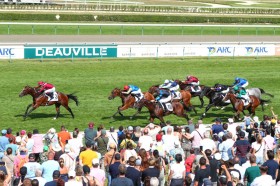 �y�����[���X�h�Q�X�g�܁z���T�W�[���������Ȗ��r��G1�����e�c�t�@�[�u���t�͔ߊ�̓����[�X������