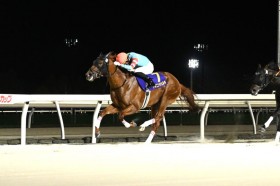 �y�k�C���X�v�����gC�z�ΐ�`�R�� ���}�j���`�F���L���𗬏d�܏����e�c�}�e�����E�R�}���h��2��