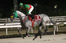 �y���c�E�ےÔu�z9�Ԑl�C�i�����^�^�A�g���q�m�R��̍D�R��ŏd�܏�V�I�c�΋��������t�A�n�����ɂőҖ]�̏d�ܐ��e