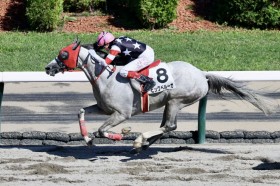 �y�D�y8R�zC.�E�B���A���Y�R�� �r�b�O�x���[�K�����ߐ擪���牟���؂�