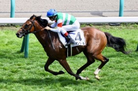 �y�V�n/�D�y5R�z�P��1.2�{�O���I�����[����7�n�g������