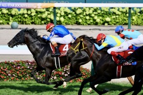 �yWASJ�E��2��z�h�C�c��T.�n�}�[�n���Z����������JRA�������c�p�g���b�N�n���T���őN�₩�ɔ����o��