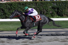 �yWASJ�E��3��z�n�}�[�n���Z�����V���[�Y2���ڂŗD�����m��c�x���M���[���Ől�C�ɉ�����