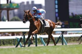 �y�V�n/�D�y5R�z�O���Y�~�X�e�B�b�N���i�����f�r���[V