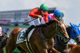 �y�V�n/�V��5R�z�R�X���G�����@��V�Ō��D��R���JRA�ʎZ100���B��