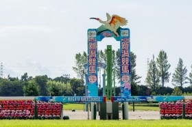 �y�V��8R�z���t�e�B�X�g�[���[���N�₩�ȍ����؂�V