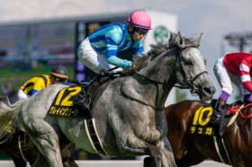 �y���S�z�f�B�[�v�Y��O���C�C���O���[������3�N���Ԃ�V