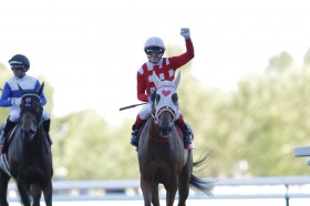 �yWASJ�E��4��z�E�B���A���Y�R�� �s���N�W�����S�[���O�̐ڐ�𐧂���