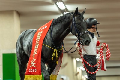 新潟2歳S】津村「後ろを待たなかった」リアライズシリウスが圧巻の走り
