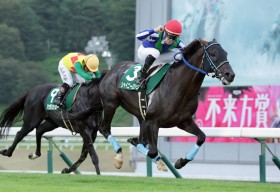 �y�����EORO�J�b�v�z9�Δn�V���C�j�[���b�N���N��V�I�n粗���R��ƒ͂񂾉�S�̏d�ܐ��e