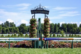 WIN5��1490�[�I���c�L�[�������hC�̓p���W���^���[���N�₩�ȍ����؂�V