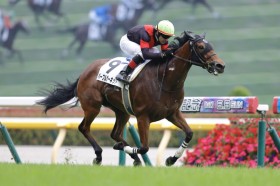 �y����2��S�o�^�n�z�p�[�v���K�[�l�b�g�Ȃ�13��