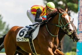 �y�V�n/�V��5R�z�ǌ��K���[�t�@�m���f�r���[V�c���Z�̓T�g�m�O�����c