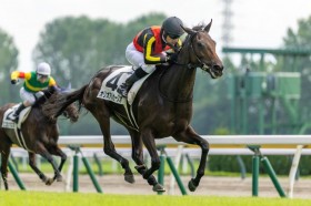 �y�V��4R�z���C�f�I���Y�� �I���I�A���Z�[���I�l�C�ɉ�����