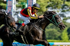 �y�Z�Γ��ʁz�ǌ��g���v���R�[�N��2����