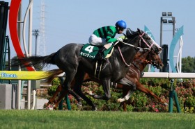 �y����2��S�z�k���F�u�����͂������ǂ������v�L�����f�B�[�h�����R�[�hV