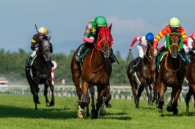 WIN5��307���~���̕��߂��c�V���L�O�̓V�����P�h��V