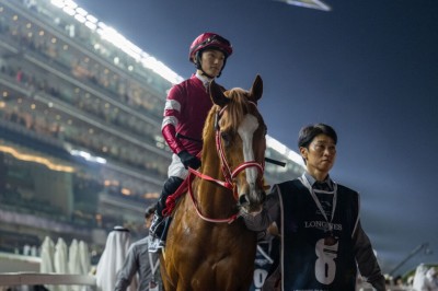 馬券　シンエンペラー　11種 馬券 シンエンペラー 11種