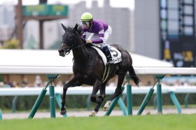 �y�V�n/�D�y5R�z�V���o�[�X�e�[�g�Y�� �����[�W�������f�r���[V