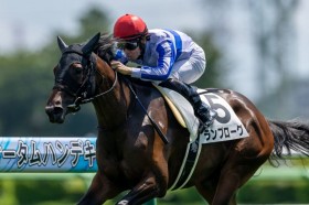 �y�V�n/���R5R�z�_�m���L���O���[�Y�� �����v���[�O���f�r���[V