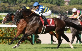 �y�Z���g�E��S�z�J���`�F���W�����K�������ȍ����؂�V