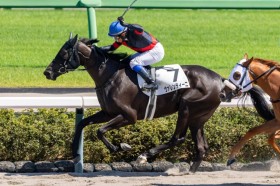 �y�V�n/���R6R�z�i�_���Y�� ���@�����e�B�[�j���f�r���[V