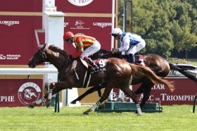 �y���t�H���܁z�r�U���`���h���[�����N�₩�ȍ����؂�V�c�����M����܂�