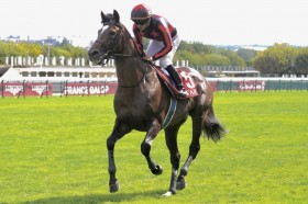 �y���[�����h�����V�����܁z���{�n�S�[�g�D�t�@�[�X�g��11���c�t�����X�̃T�[�������ڐ�𐧂���