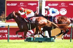 �y���t�H���܁z�r�U���`���h���[��V�ŊM����܂̗L�͌���