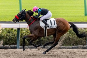 �y���R1R�z���є���R�� �f�[���G���o�n�����n�i��V