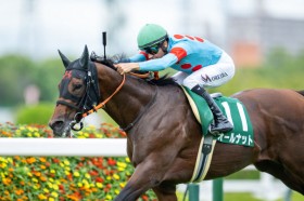 �y�`�������WC�z�A���Ă��������C�����΂̎�j���΂��c�I�[���i�b�g���d�܏����e�ɓ���