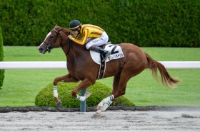 �y�V�n/��_6R�z�G�X�|���[���V�`�[�Y�� �N�����]���L���b�g���f�r���[V