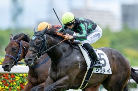 �y�V�n/��_5R�z�V���k�C���f�r���[V�c�^�����̏��舻��R��͋R���~����