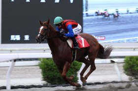 �y���m�E�͋��e���ʁz�T���t�����[���[���������S��V�c�d�ܒ���֎��E�ǍD