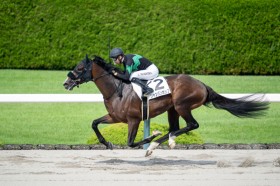 �y��_8R�z�����C���R�� �V�����p���|�b�v���f�R�̎x���ɉ�����