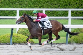 �y�V�n/��_6R�z�P��1.7�{�E�F�C�j�[�X�[��7�n�g���f�r���[V�c�E�}���E���c�W�����L�n