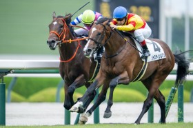 �y�V�n/��_5R�z�n�[�r���W���[�Y�� �u���[�X�J�C�u���[���n�i��V