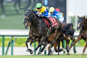 WIN5��877���~���̕��߂��c���[�YS�̓J���j���b�N��V