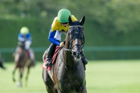 �y���[�YS�z��c�u�n�̔\�͂����ŏ����؂��Ă���܂����v�I�[�N�X�n�E�J���j���b�N���ј\�̏���