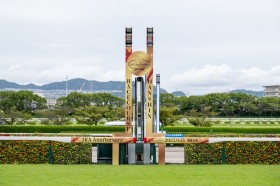 �y�V�n/��_5R�z���Y�A�X�R�b�g�Y�� �A�C�K�[���[���f�r���[V