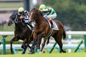 �y�V�n/���R5R�z�T���_�[�X�g���b�N���n�i��V