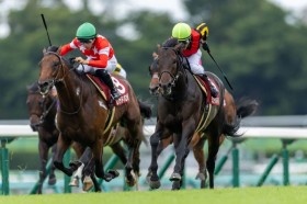 �y�Z���g���C�g�L�O�z�H���ܔn�̊ј\�I�~���[�W�A���}�C�����N�₩�ȍ����؂�V